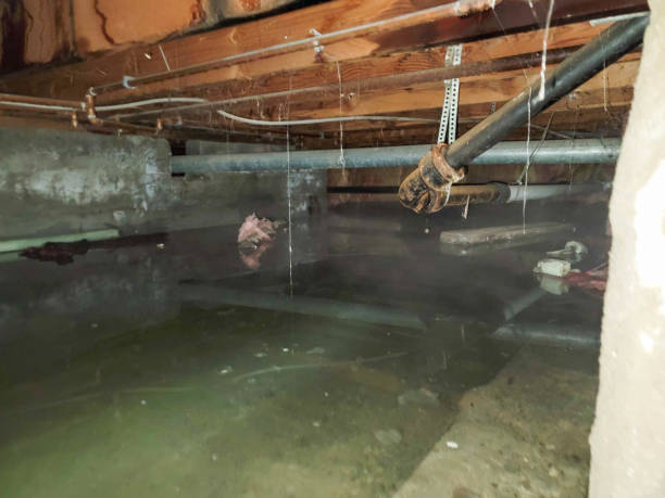 Best Flood restoration services  in Oakville, CT