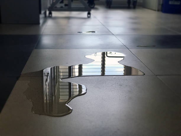 Best 24-hour water damage restoration  in Oakville, CT