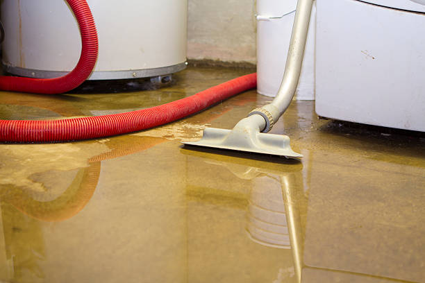 Best Mold removal after water damage  in Oakville, CT