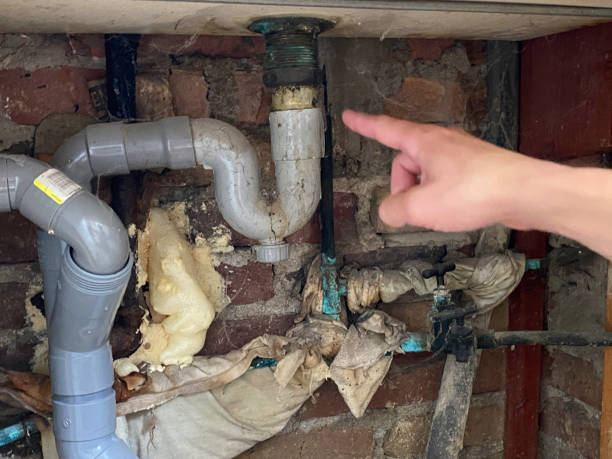 Best Mold removal after water damage  in Oakville, CT